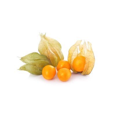 Cape Gooseberry